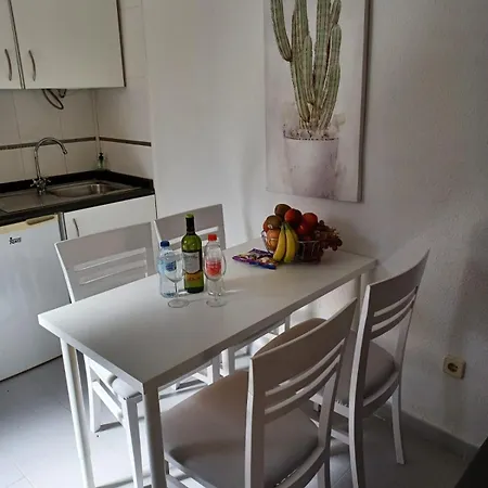 Aloe In Apartment